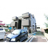 ビオラ緑の画像