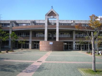 【周辺】 | 松山市立みどり小学校 508m
