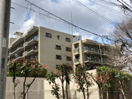 本郷壱岐坂ハイツの画像