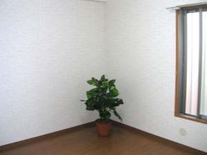 ジョイフル寿の内装|明るい室内です