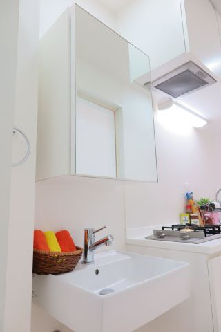 フェーリス北堀江の洗面所