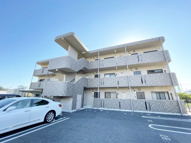 エル ア シュールの画像