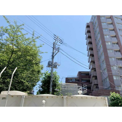 【展望】 | サンフラワー藤沢