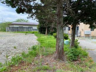 【その他】 | 大字松川 売地