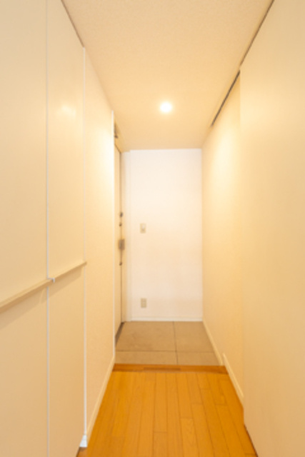 ヒルクレスト御茶ノ水の玄関|※写真は同タイプの別室になります