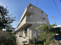 ホーリーギフトの画像