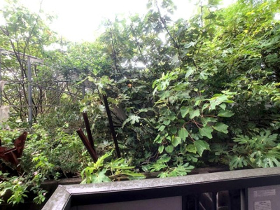 【展望】 | ソレアードｉ