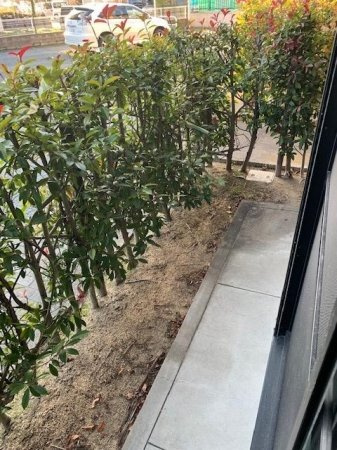 ミーツハオスＫ（ケイ）【キャッシュバック対象物件】の庭|お庭の付いた物件です