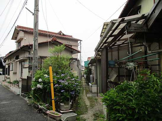 【前面道路含む現地写真】