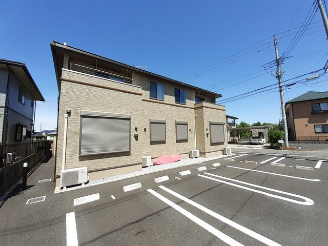 クリスマスローズＥ