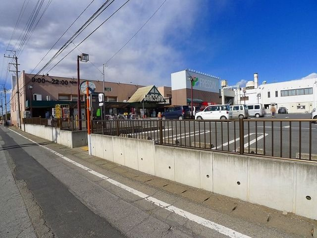 クリスマスローズＥの周辺|フレッセイ館林店まで900m