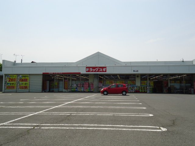 リバティ　ミユウⅡの周辺|ドラッグスギ鳥山店まで982ｍ