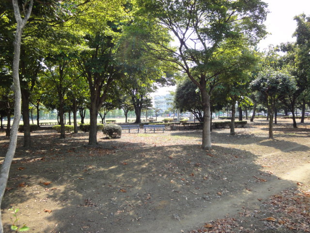 コテージA棟の周辺|中央公園まで765ｍ