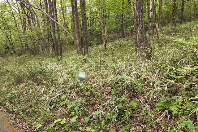 【外観】 | 那須バケイションランド別荘地