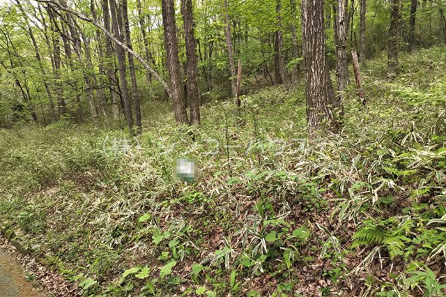 【外観】 | 那須バケイションランド別荘地