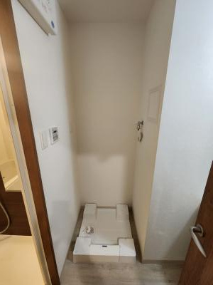 THE RESIDENCE 二条駅前（ザレジデンス二条駅前）の設備|室内洗濯機置き場有