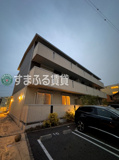 オリーブ錦　岡崎市吹矢町の画像