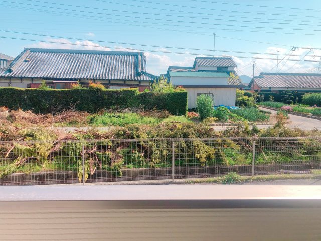 ブランの展望
