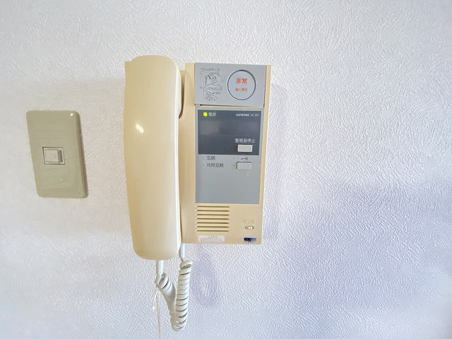 アレグリアのその他