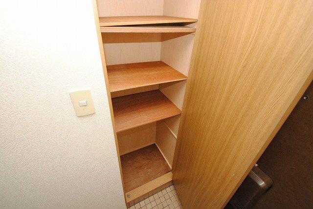  グランドハイツの収納|収納があります