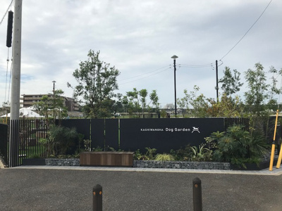 【周辺】 | （仮称）柏の葉ｽﾏｰﾄｼﾃｨ146街区商業棟