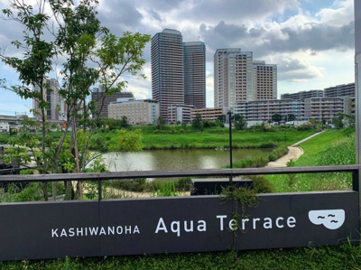 【周辺】 | （仮称）柏の葉ｽﾏｰﾄｼﾃｨ146街区商業棟