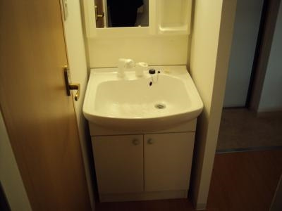 ハウスセゾン四条通の洗面所|シャンプードレッサー