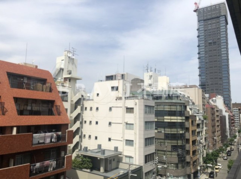 Fortuney大手前　BRAVI不動産の展望|【Fortuney大手前】眺望です。