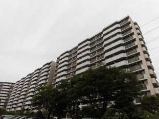 【外観】 | 自然豊かな13階建てです。
