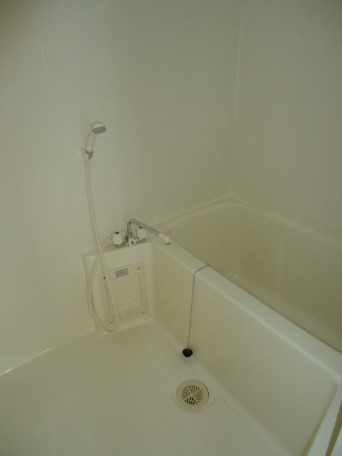 ソラーレ霧島の浴室