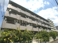 Ｆｒｅｓｃａ　ＫＡＭＩＯの画像