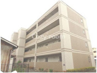 ベルデュール楓の画像