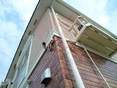 【セキュリティ】 | フロレスタナノ