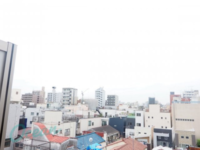 【展望】 | Leonis