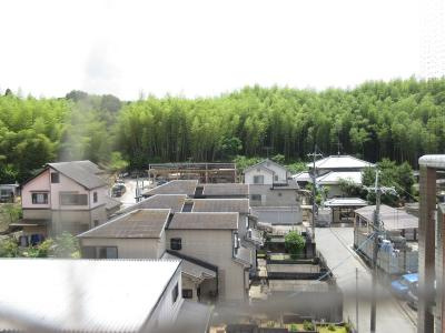 ヴィーヴル藤の森の展望|緑が豊かで癒されます