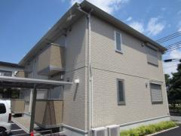 セジュール梅の木の画像