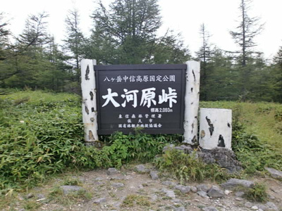 【周辺】 | 佐久高原美笹別荘地Ｇ－１９ | 蓼科スカイラインを１７ｋｍ（車で約２０分）で大河原峠に出ます