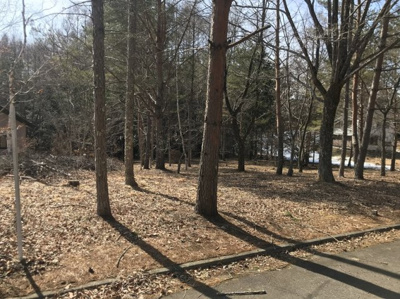 【前面道路含む現地写真】 | 佐久高原美笹別荘地Ｇ－１９