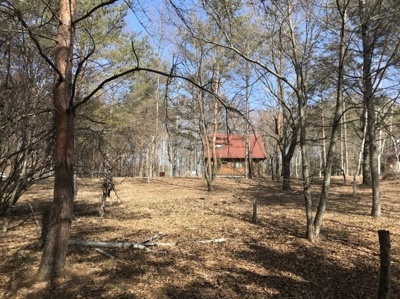 【外観】 | 佐久高原美笹別荘地Ｇ－１９