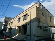 ルピナスの画像