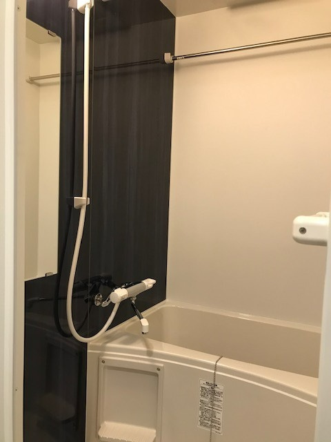 S-RESIDENCE市川の浴室