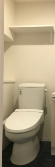 S-RESIDENCE市川のトイレ
