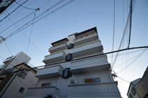 サンハイム林の画像