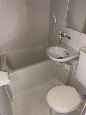 【浴室】 | エリナーリグビー