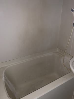 【浴室】 | エリナーリグビー