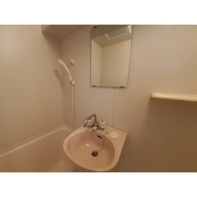 【洗面所】 | クリザンテーメ大手前