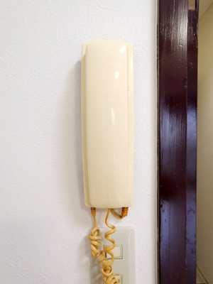 【セキュリティ】 | エクラ平野