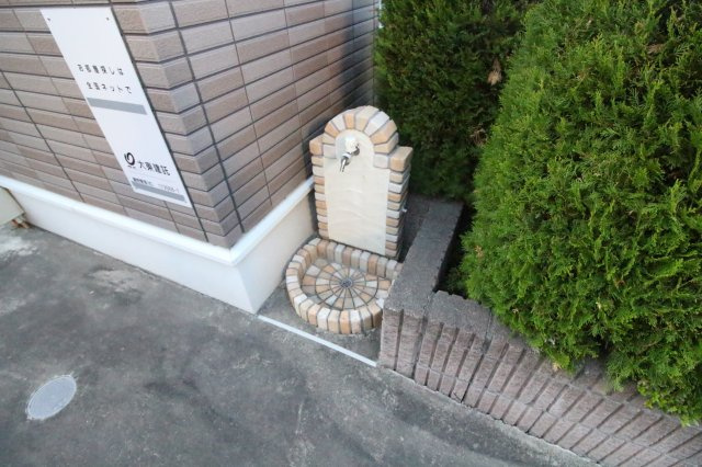 カトレアのその他