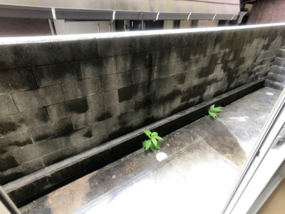 【バルコニー】 | マイ・ピエス・ヒロ