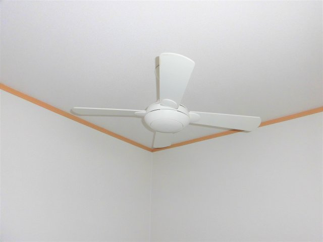 graciaのその他|イメージ写真